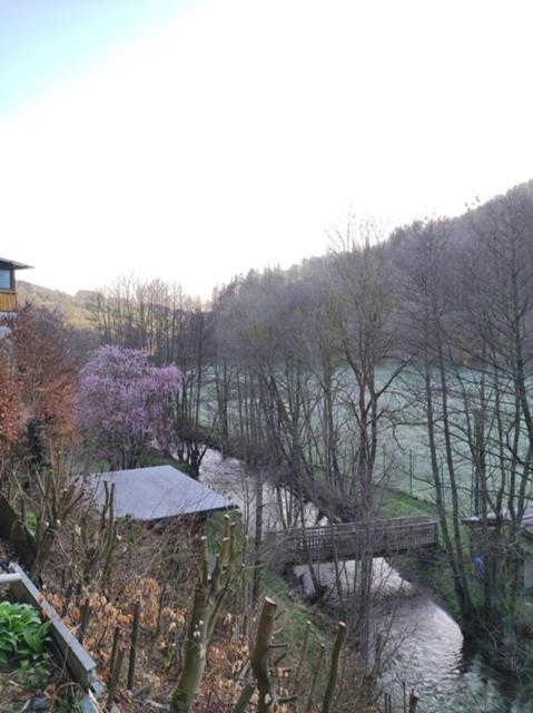 Ferienwohnung Lange Brilon Exteriör bild