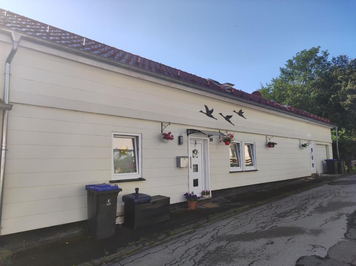 Ferienwohnung Lange Brilon Exteriör bild